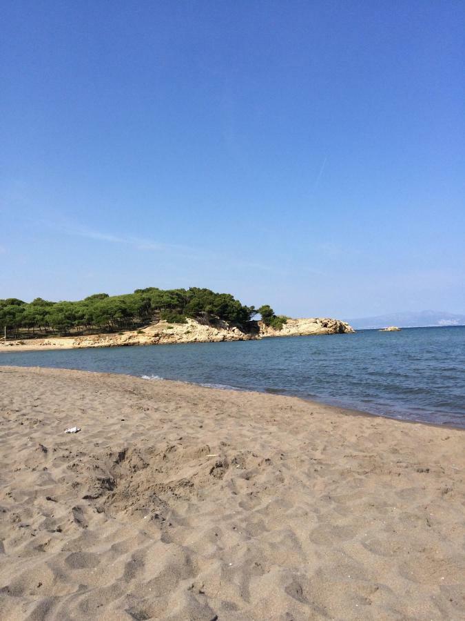 2 Bedroom Apartment In The Old Town, Close To The Beach L' Escala Εξωτερικό φωτογραφία